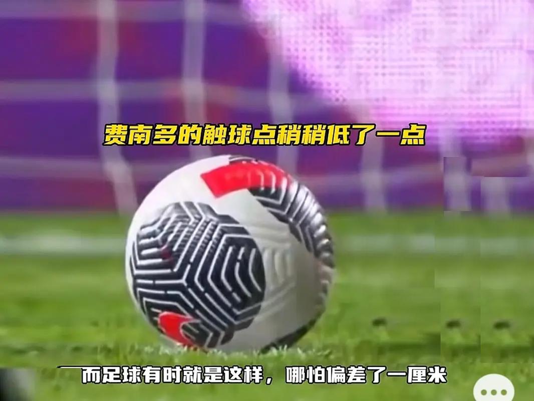 蜂内部的竞